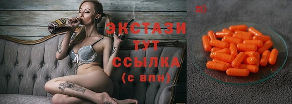 таблы Гусев