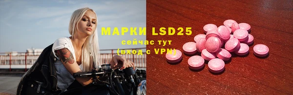 ПСИЛОЦИБИНОВЫЕ ГРИБЫ Дмитров