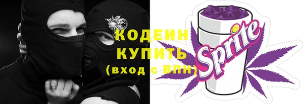 таблы Гусев