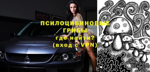 ПСИЛОЦИБИНОВЫЕ ГРИБЫ Дмитров