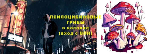 ПСИЛОЦИБИНОВЫЕ ГРИБЫ Дмитров