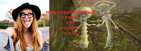 метадон Дмитриев