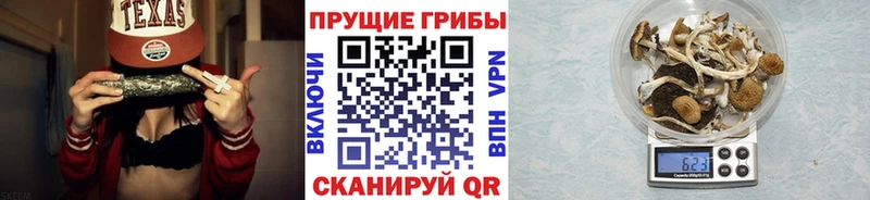 Псилоцибиновые грибы Magic Shrooms  Оханск 